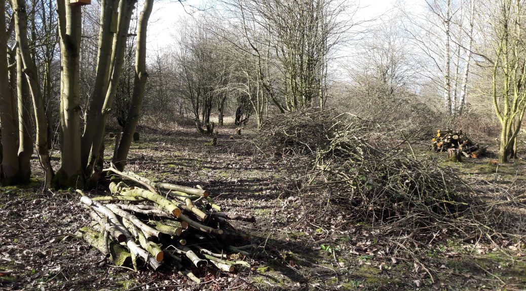 Glade creation and log pile habitat