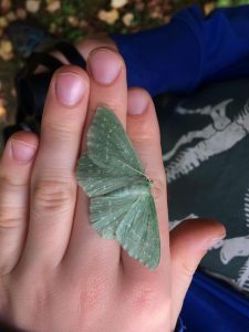 large emerald